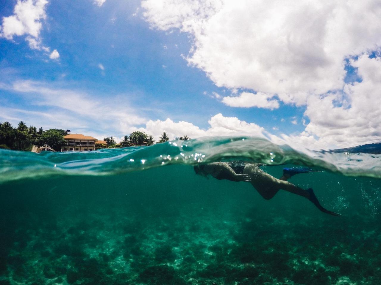 Turtle Bay Dive Resort Moalboal Extérieur photo